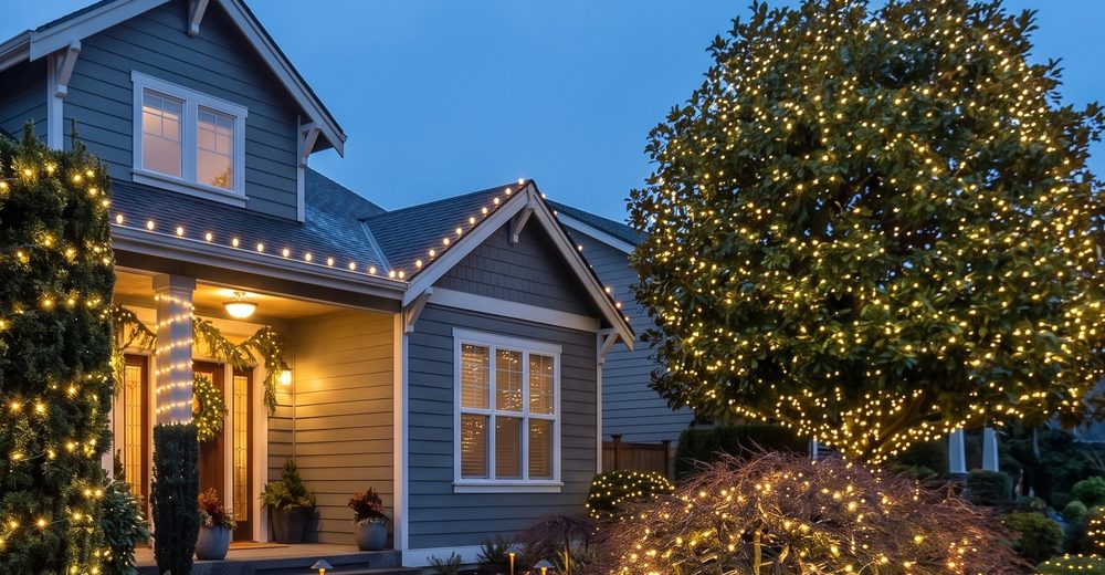 A craftsman home with net-lit shrubs and a lit tree in the front yard